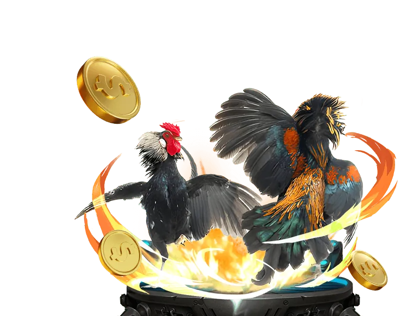 Đội ngũ chuyên nghiệp của NEW88 BI